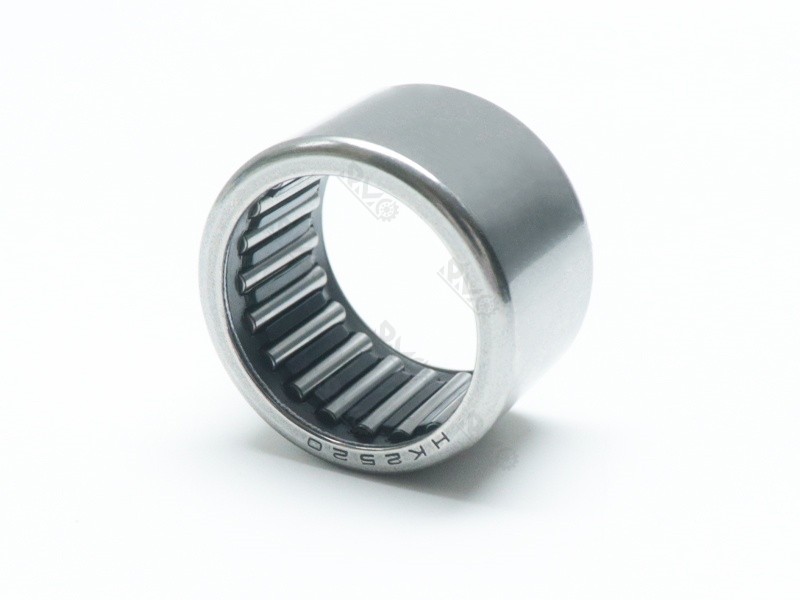 HK2520 Bearing