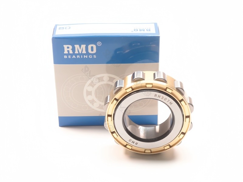 RN307M Outer Ring Free Roller Bearing