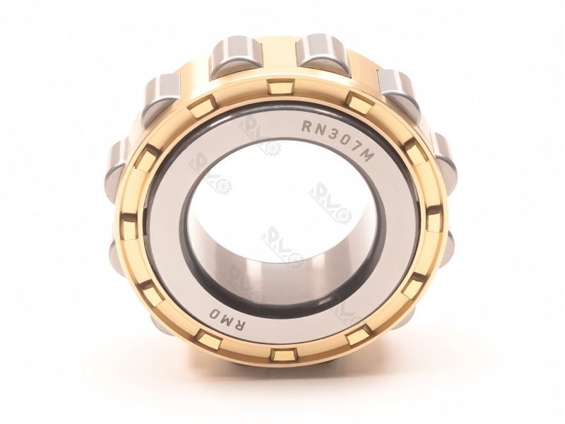 RN307M Bearing