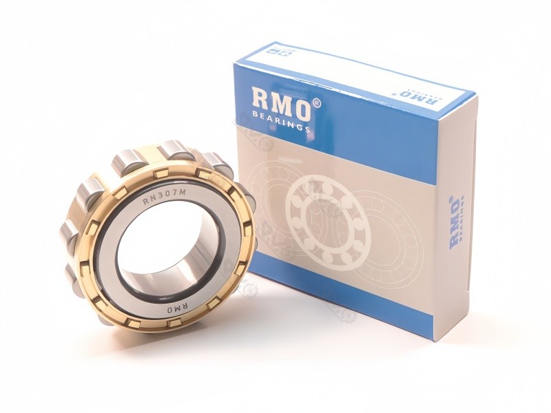 RN307M Outer Ring Less Roller Bearing
