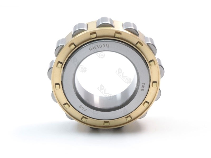RN309M (502309) Bearing