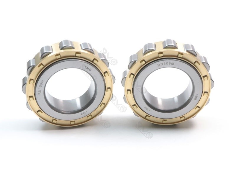 RN309M Heavy Duty Cylindrical Roller Bearing
